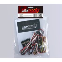 LED Licht Set mit 10 LED inkl Kontroller Box