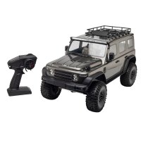 Crawler 212 1/8 4WD Grau