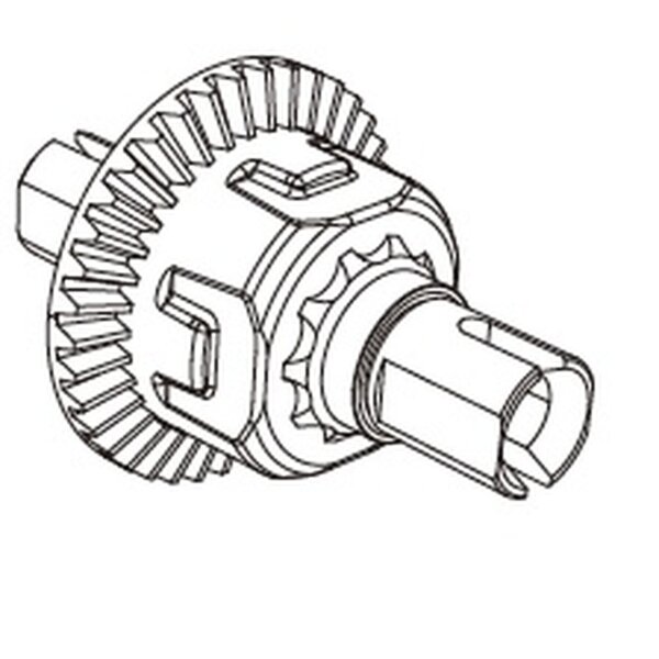 Vorder-/Hinterdifferential