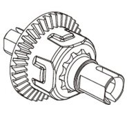 Vorder-/Hinterdifferential