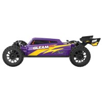 UDI R/C UD1204 GLEAM Pro 1/12 4WD Brushless Buggy Purple