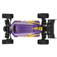 UDI R/C UD1204 GLEAM Pro 1/12 4WD Brushless Buggy Purple