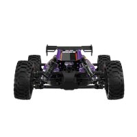 UDI R/C UD1204 GLEAM 1/12 4WD Brushless Buggy Purple