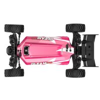 UDI R/C UD1204 GLEAM Pro 1/12 4WD Brushless Buggy Pink