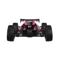 UDI R/C UD1204 GLEAM Pro 1/12 4WD Brushless Buggy Pink
